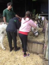 pupils with donkey